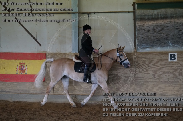 s_K3F04284.JPG